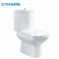 Modern Design two-piece toilet With Slow Down Door