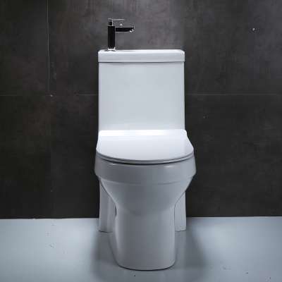 Economic smart toilet bathroom high quality wc toilet one piece water closet