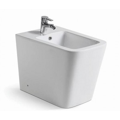 Wall hung toilet bidet built-in for sale